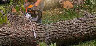 Best Lawn Drainage Solutions  in Lake Carmel, NY