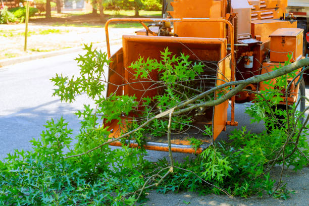 Best Soil Testing and Treatment  in Lake Carmel, NY