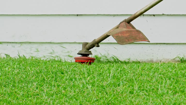 Lawn Pest Prevention in Lake Carmel, NY